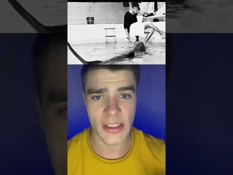 Дельфин Влюбился В Девушку И Вы Не Поверите Чем Это Закончилось😱😬 #shorts #история
