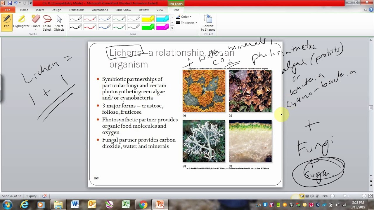 Экология грибов