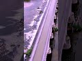 Briare Aqueduct on Loire River by drone Dji mini 4 Pro #droneography