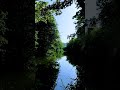 Rzeka Bóbr rankiem, Lwówek Śląski #rzekabóbr #rzeka #river #nature #birdsounds #śpiewptaków