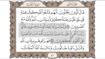القرآن الكريم الصفحة (41) للشيخ محمد أيوب رحمه الله