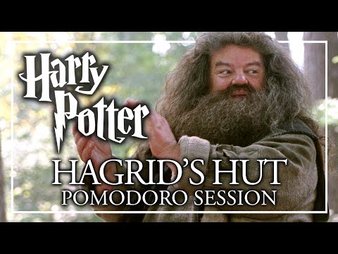 STUDY IN HAGRID'S HUT - Harry Potter Pomodoro Session - Harry Potter ASMR