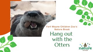North American River Otters - Fort Wayne Childrens Zoo