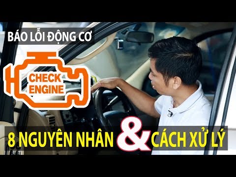 Video: Lakonos Mỹ là một cây thuốc nguy hiểm