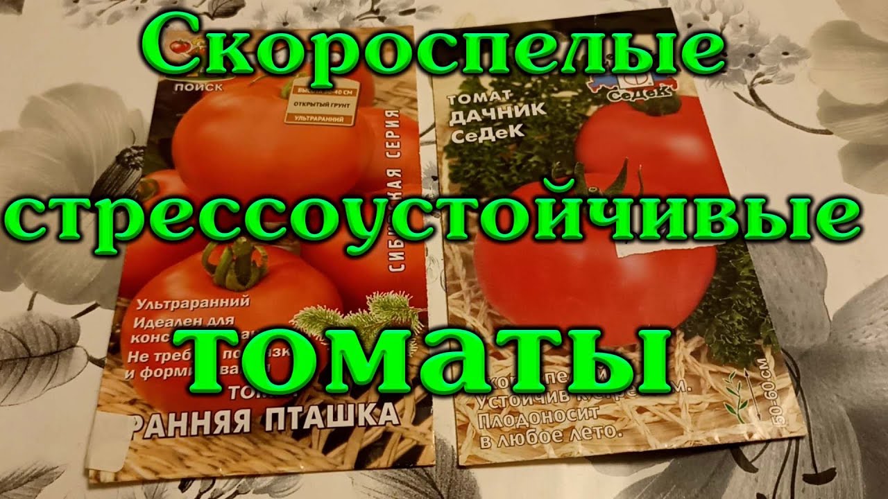 Томаты скороспелые, стресс устойчивые - YouTube