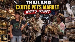 4K HDR | Thailand’s WILDEST Exotic Pet Market! 🇹🇭 | Chatuchak, Bangkok