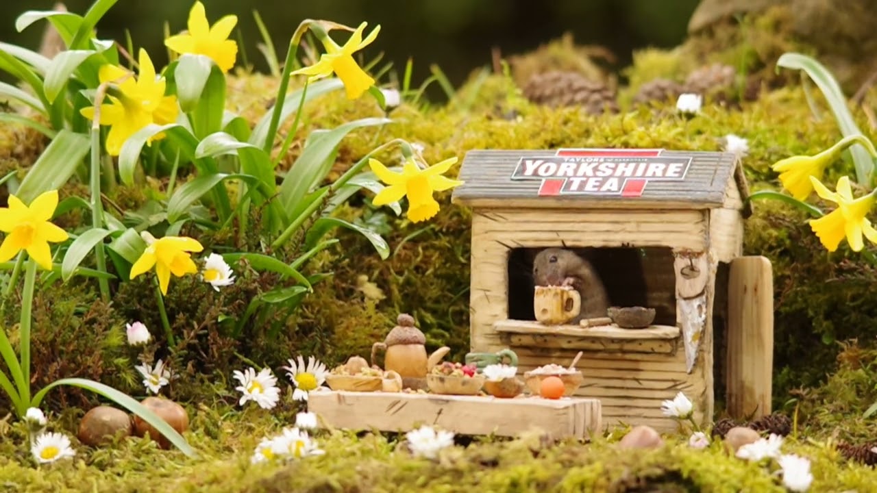 yorkshire tea party with the mice in the garden