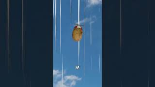 В чём суть парадокса близнецов?