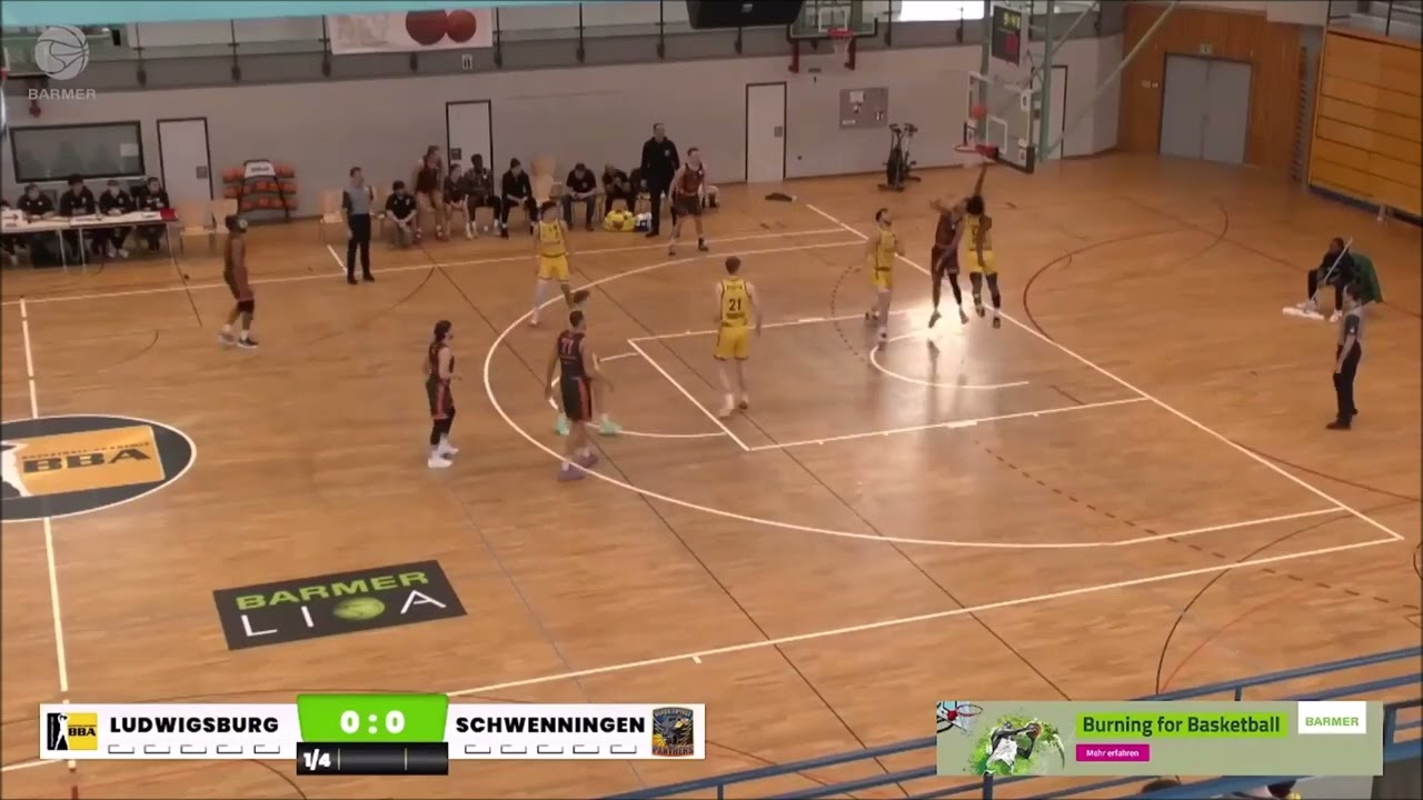 Highlights Damezi Anderson 23/24 (Schwenningen - Pro B Germany)