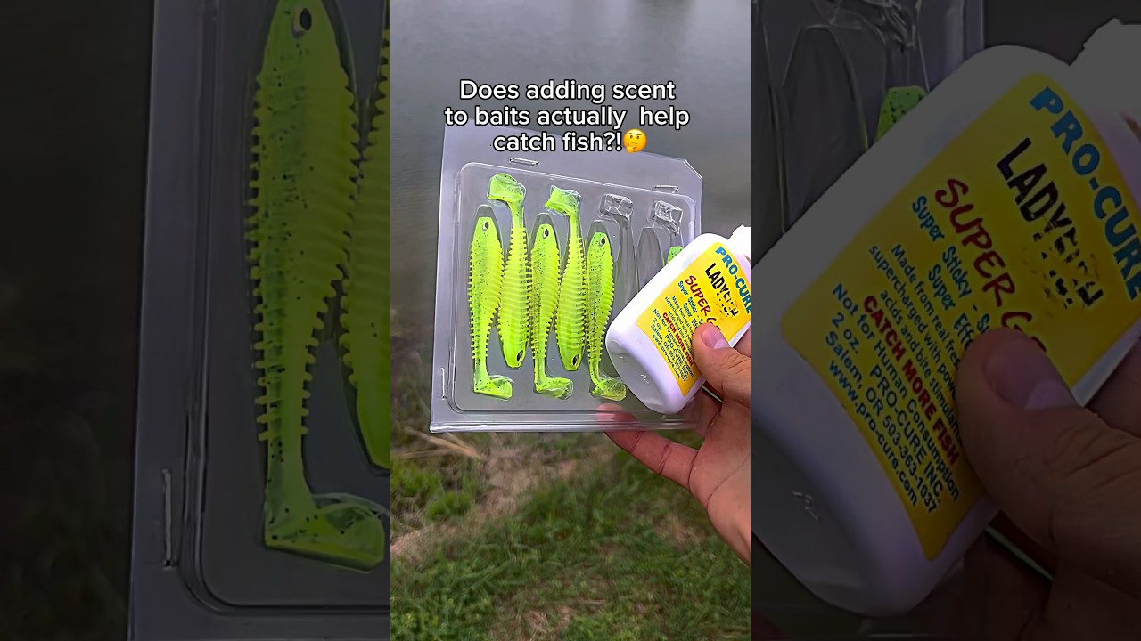Does adding scent to baits ACTUALLY help catch fish?!🤔🎣 