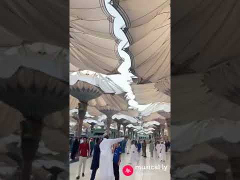 ٧ أغسطس ٢٠١٨ 10