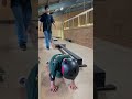 角レールで2トリック🛹＃過去動画　＃懐かしい動画　＃スケボーキッズ　＃スケボー家族　＃息子達の成長記録
