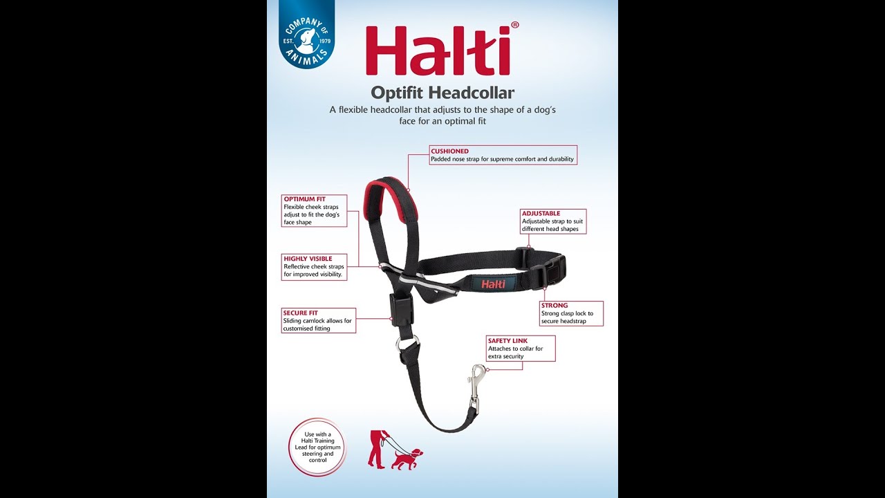 halti safety link