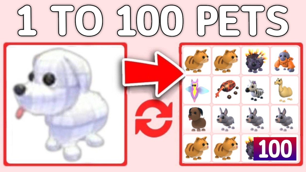 Making A Poor Account Get 100 PETS In 24 HOURS! Adopt Me