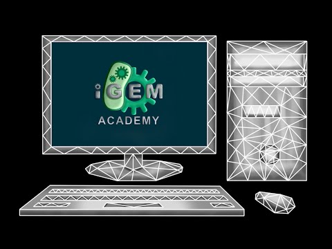 Wiki Tutorial #5 - Past Projects