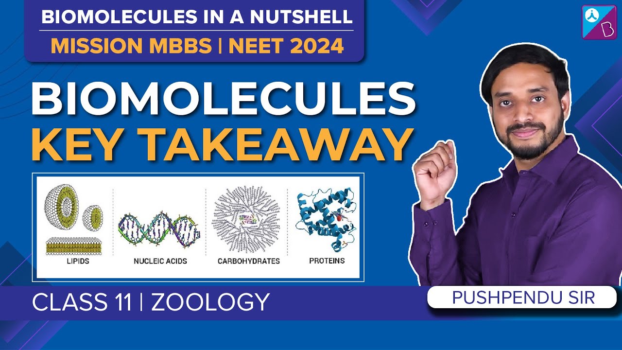 Biomolecules Class 11 Biology Complete Chapter in Nutshell Key