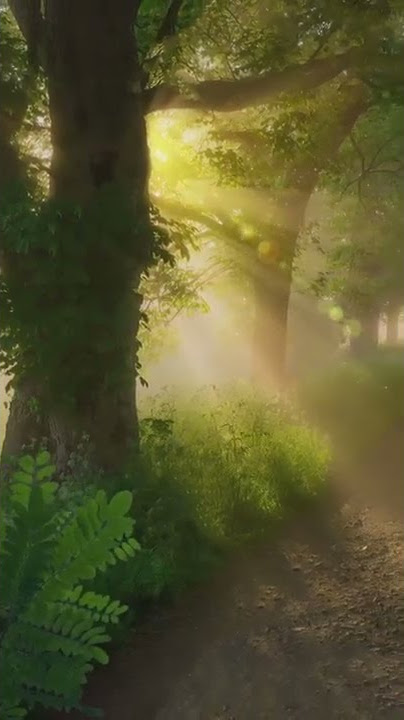 Shorts video background gratis download #shortvideo #shorts #hujan