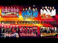 LOS ORIGINALES DE SAN JUAN, CONJUNTO PRIMAVERA, LOS RIELEROS,HURACANES DEL NORTE,EXTERMINADOR