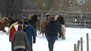 MVI_5643.AVI