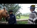 RodeoTV, Al Aguaite - ¿Cómo preparar el caballo para una exposición?
