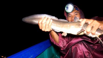 Nước Lớn ! Cuộc chiến bắt đầu săn Cá Ngát cửa biển | GĐCG #967