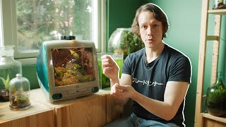 Building Nature In Miniature Inside The World Of Worcester Terrariums