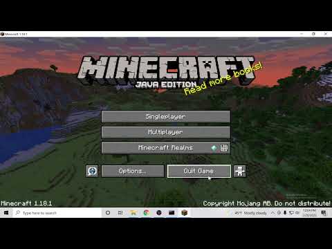 Setting up a public Minecraft Server 1.18.1