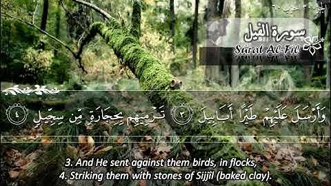 105  سورة الفيل ماهر المعيقلي  Sûrat Al Fil Maher Al Muaiqly