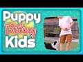 Puppy Biting Kids - Training Tips