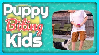Puppy Biting Kids - Training Tips