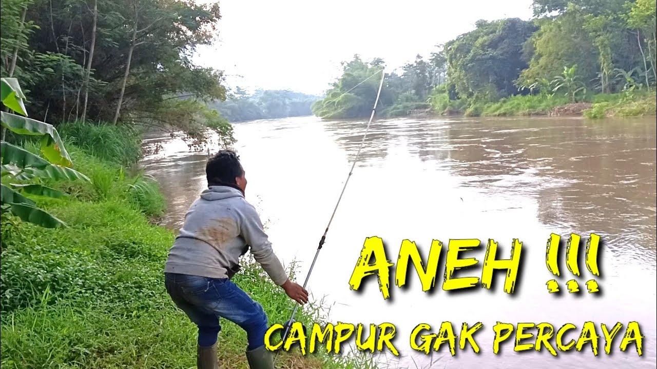 Tetap umpan tiren sungai Brantas ,,spot aneh ikannya kayak siluman 😭