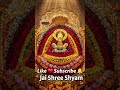 “Jai Shree Khatu Shyam Ji 🙏✨ Divine Darshan #Shorts”Hare Ka Sahara Baba Shyam Hamara#ytshorts #shyam