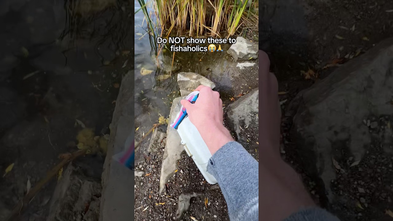 Его нужно спрятать 🫣🎣