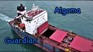 Algoma Guardian