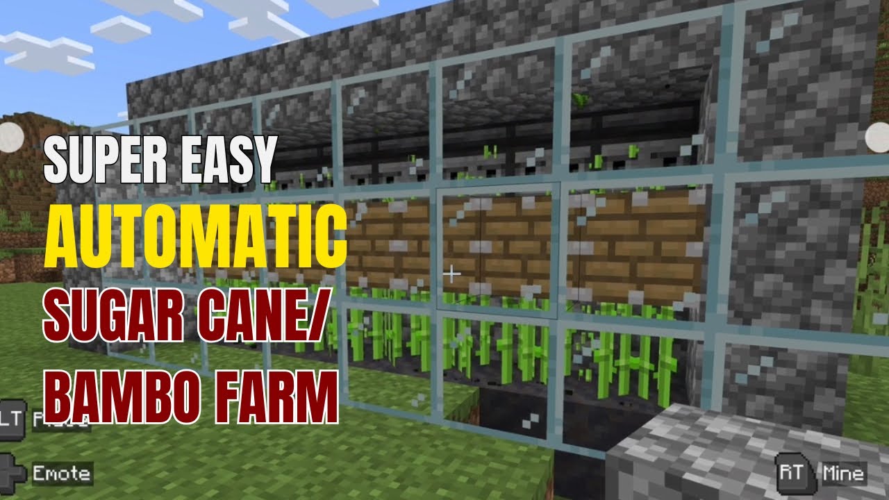 How To Make An Easy Sugar Cane/Bamboo Farm In Minecraft - YouTube