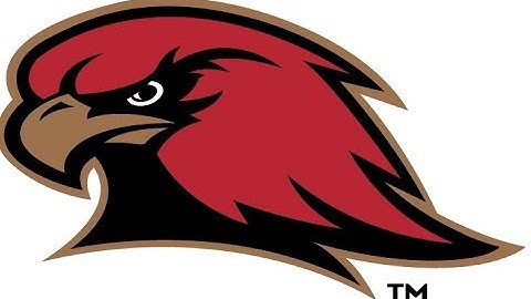 Red Hawk: Website Information Gathering, Vulnerability Scanning Kali Linux Tool