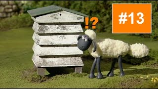 Shaun The Sheep S01E13