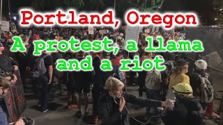 What is really going on at the Portland Oregon Protests?  July 25th.