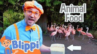 Playing At The Zoo - Blippi Feeds and Plays With the Animals | Educational Videos For Kids