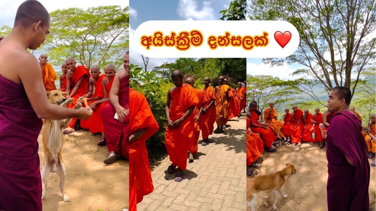 හන්තානට පිරිවනක් ❤️