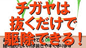 ガーデニング チガヤの根絶 キャリア28年のプロガーデナーが検証 チガヤを駆除しながら土壌改良をする方法 Youtube