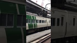 185系OM08編成団体列車到着　品川駅にて
