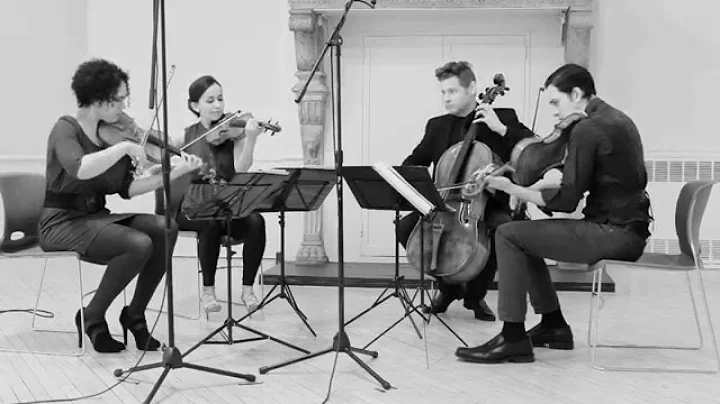 Philip Glass - String Quartet No. 3 "Mishima" , VI