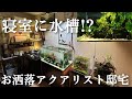 人気急上昇のお洒落なアクアリスト邸宅に潜入‼ ルームツアー aquarium アクアリウム 熱帯魚 水槽 水草 流木