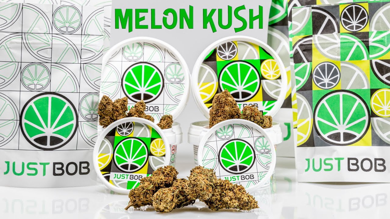 Melon Kush CBD - Marijuana Legale - JustBob ITA 2022