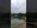 Mayapur taranipur ghat #like #krishnatemple