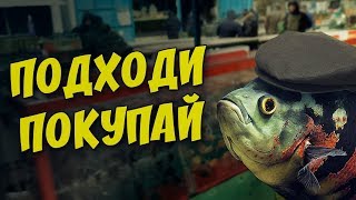 BIRD MARKET UKRAINE KHARKIV 2020! Part 1