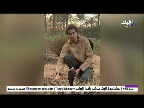 أخطر ثعبان في مصر محمد وجيه يكشف حقائق صادمة عن الكوبرا