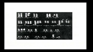 MPG Primer: Genome structural variation (2013)