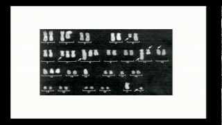 MPG Primer: Genome structural variation (2013) Net Worth